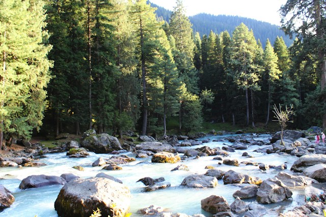 Gulmarg